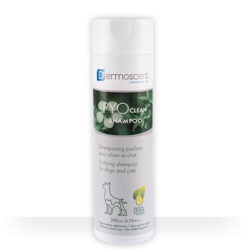 Dermoscent PYOclean® Sampon kutyák és macskák részére 200ml