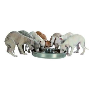 Trixie tál kölyök kutyáknak 4l/38cm