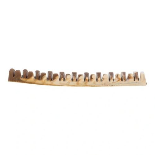 Trixie Jutalomfalat Denta Fun Vegán Csont, 22cm, 85g