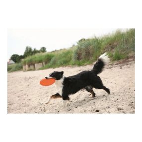 Trixie Játék Dog Disc Hőre Lágyuló