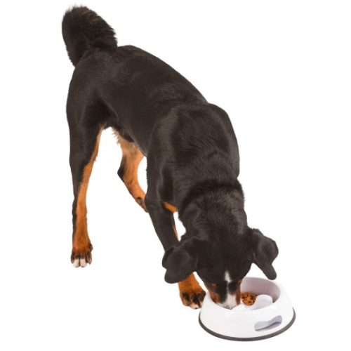 KERBL Habzsolásgátló tál kutyáknak, 1000 ml