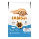 Iams Cat Kitten Ocean Fisch 10kg