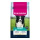 Eukanuba Adult Medium kutyatáp 3kg