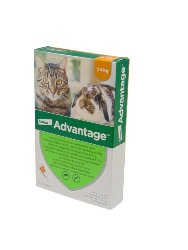  Advantage macskáknak és nyulaknak 4ml  4kg alatt, 4 pipetta