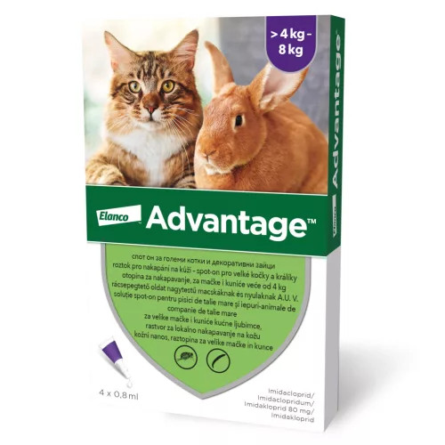  Advantage macskáknak és nyulaknak 8ml  4kg felett, 4 pipetta