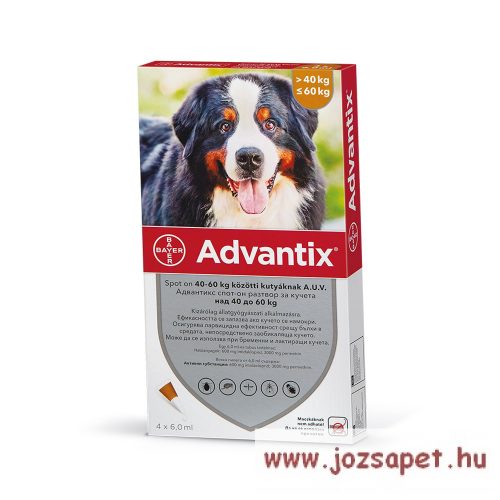 Advantix Spot-On 25kg feletti kutya számára 4ml*1 pipetta