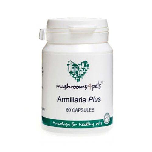Mushrooms4pets Armillaria Plus 500 mg