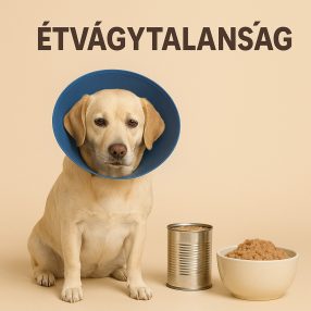 Gyógytápok étvágytalanság, anorexia, műtét- és betegség utáni lábadozás esetén
