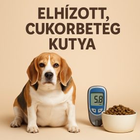 Gyógytápok elhízott, cukorbeteg és hízásra hajlamos kutyáknak