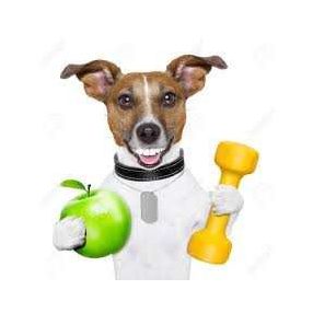 Immunerősítők, vitaminok, táplálékkiegészítők