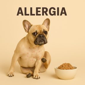 Allergiás kutyáknak, Hypoallergén Állatorvosi Gyógytápok