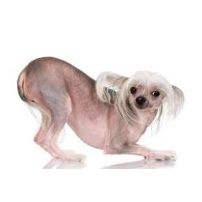 Bőrgyógyászat, sebkezelés