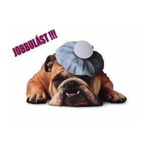 Speciális, diétás GYÓGYTÁPOK