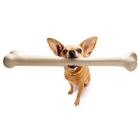 Jutalomfalatok, rágcsálnivalók