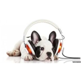 Nyugtató, közérzet javító készítmények