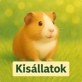 Kisállatoknak, rágcsálóknak