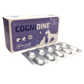 Cognidine, idegrendszert támogató tabletta 60db