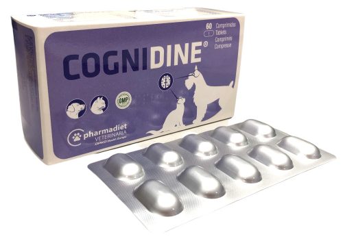 Cognidine tabletta 60db