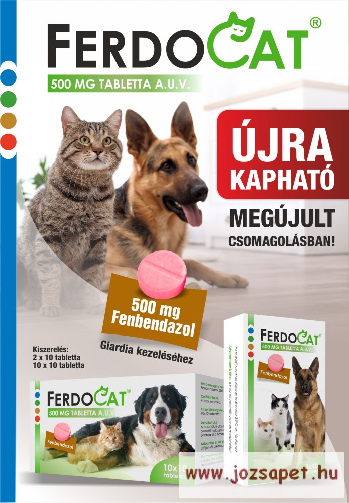 Ferdocat tabletta 500mg 1 levél /10db