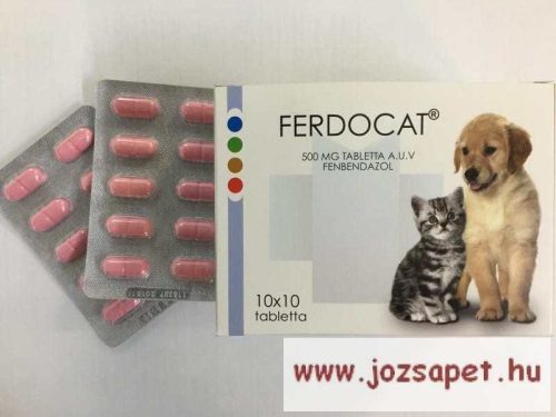 Ferdocat tabletta 10db 500mg