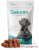 Geloren Dog Large 60db/420g