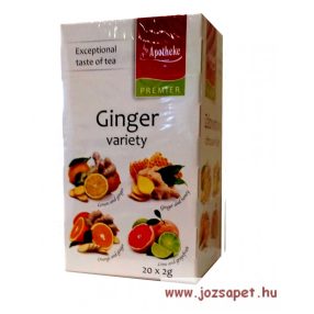   Apotheke - Gyömbér Variációk, Vegyes Gyümölcs Tea, 4*5 filter - Premier Selection