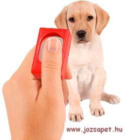 Klikker-hatékony eszköz a kutya tanítása, kiképzése során