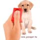 Klikker-hatékony eszköz a kutya tanítása, kiképzése során