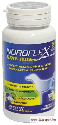 Noroflex 600+100mg tabletta 60db