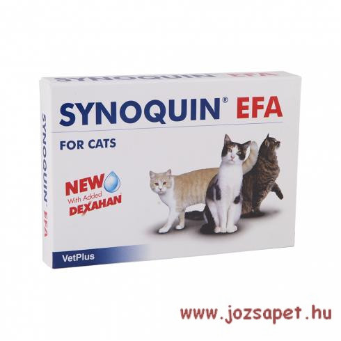 Synoquin Cat kapszula 30db ízületvédő macskáknak