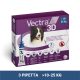 Vectra 3D rácsepegtető oldat M 10-25 kg közötti kutyáknak 3 pipetta