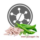 Vet Exclusion Hypoallergenic Insect & Pea Rovarfehérjés kutyatáp 2kg