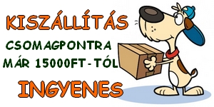 ingyenes kiszállítás webáruház ingyenes kiszállítás webáruház