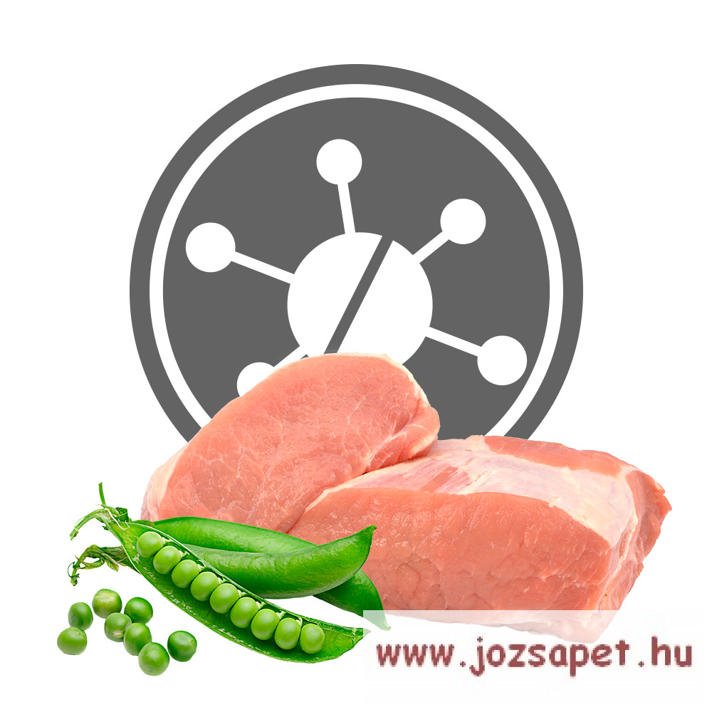 Vet Exclusion Hypoallergenic Pork & Pea Medium/Large 12kg